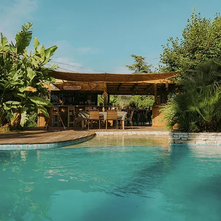 Maison Exotique Avec Piscine - Quatre Murs Et Un Toit * Hyeres